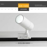 سبوت تراك اسطواني 10 وات ابيض ابيض X2