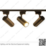 سبوت تراك لايت فيلبس 30 واط اسود وورم