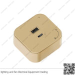 مدخل شاحن تراك سوكت ذهبي USB-type-C مربعة ZOYA PLUS (1)